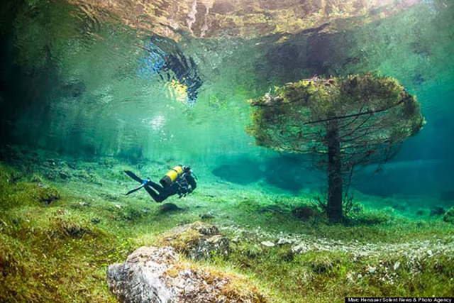 Underwater Park
