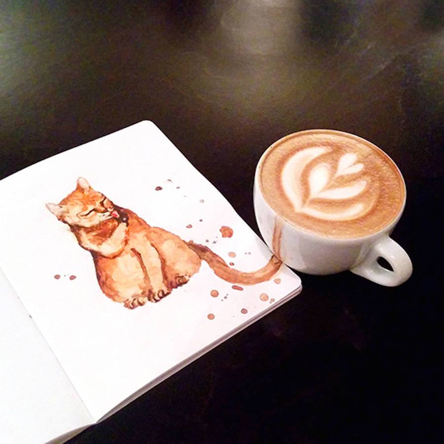 咖啡与猫